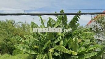 Xoay vốn kinh doanh bán nhanh lô đất Bình chánh 115,5m2