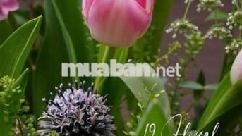 Cho thuê nhà nguyên căn khu VIP Tân Sơn Nhì, .: 4 x 18 M đúc 3  Tấm