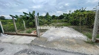 BÁN ĐẤT: 135m2 thổ cư hẻm 1/ QL22 Tân An Hội mới - SHR
