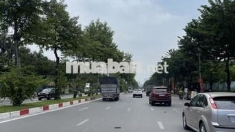 Nhà lô góc mặt phố Trịnh Văn Bô đất vàng dịch vụ 60m2 - Giá đẹp