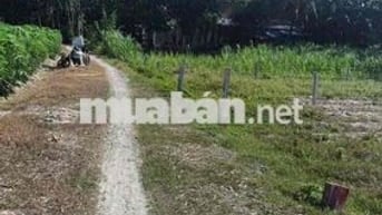 bán lô đất sổ sẳn dt 5x35 cn 175m thổ cư 100% châu thành tây ninh