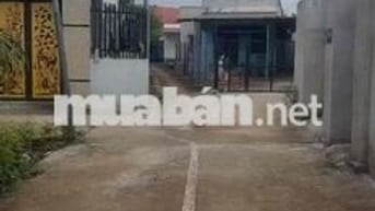 Lô Đất Vườn Tuyệt Đẹp Sát Đường Nguyễn Thị Tươi, P Tân đông Hiệp