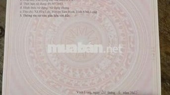 Đất trồng cây lâu năm phân nền