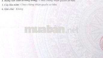 Bán cặp nền mặt tiền đường Thái Thị Hạnh