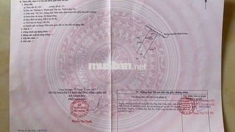 2ty450 Đường Nguyễn Minh Đương - TÂN AN