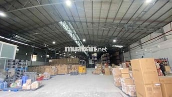 MẶT TIỀN NGUYỄN CỬU PHÚ - 15.000M2 - CHÍNH CHỦ LÂU NĂM