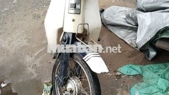 Cup han quốc 50cc