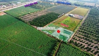 đất vườn Bến lức Long An giá rẻ