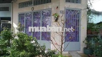 Nhà cho thuê trong hẻm Q8 Phạm Thế Hiển. Ngang 4m dài 6m, 1 lầu