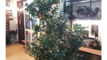 Bán căn hộ đẹp quận Hai Bà Trưng gần phố Cổ HN