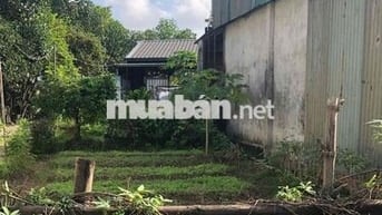 Chỉ 1,6 Tỷ Sở Hữu 125m2 Đất Đẹp