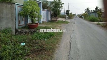Chủ cần bán đất thổ mặt tiền tl833..diện tích 10x52