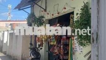 bán 180m2 đất Q7- Tân Hưng- hẻm xe hơi- sổ hồng riêng-cấp 4 có 6 PN