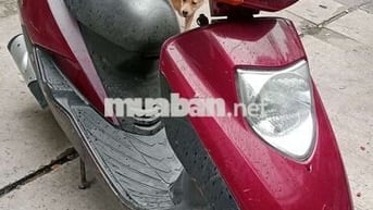 HonDa tay ga @ biển Sài Gòn
