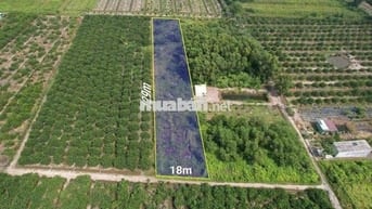 1000m Đất Vườn Chỉ 450tr Siêu Rẽ ở Bến Lức