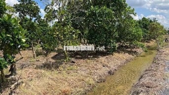 1000m Đất Thổ + Vườn,View Kênh,Đường 7m5 chỉ 949tr