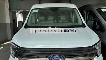 Ford Transit 2024 Trend