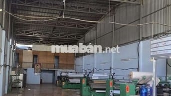 CHO THUÊ KHO,XƯỞNG 300M² GIÁ 23TR/T, Đ LÊ TRỌNG TẤN