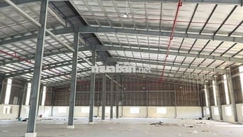 CHO THUÊ KHO XƯỞNG 2000M2 THẠNH LỢI LONG AN GIÁ RẺ 50K/M2 ĐƯỜNG CONT