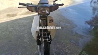 Dim hàn quốc  bstp cà vẹt đầy đủ .
