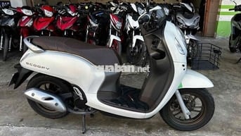 Honda Scoopy 2024 trắng ( hỗ trợ góp )