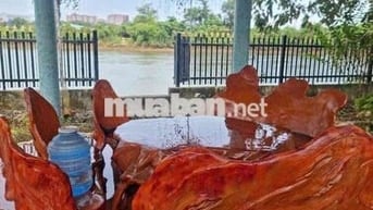 Chính chủ cần bán vườn bưởi tại Tân Uyên View sông Đồng Nai