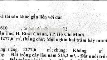 Vị trí trung tâm thị trấn Tân Túc, Bình Chánh