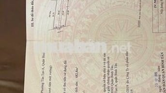 Bán đất mặt phố Nguyễn Cửu Phú, Bình Tân, Hồ Chí Minh