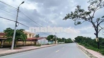 CC BÁN GẤP MẢNH ĐẤT ĐẸP 200m2 SÁT VIN OCEAN PARK 2 - TÂN QUANG,VĂN LÂM