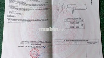 Chủ kẹt bán lô mặt tiền Đ.nhựa Hồ Văn Tắng -Củ Chi .Giá 1tỷ5, SHR