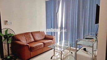 Cho thuê căn hộ becamex sunrice Phú hoà thủ dầu một