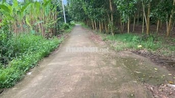CHỈ 1,4 TỶ SỞ HỮU NGAY LÔ ĐẤT 3500M2 ĐÃ TÁCH RA 03 SỔ