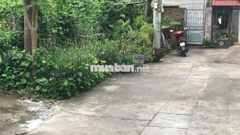 Bán gấp đất Đại Áng ô tô ngủ trong đất ,diện tích rộng giá rẻ 8.5 tỷ