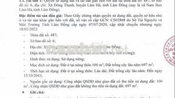 BĐS Xã Đông Thanh, huyện Lâm Hà, Lâm Đồng (Nam Ban Lâm Hà, Lâm Đồng)