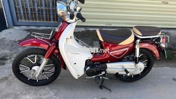 cúp việt thái 50cc