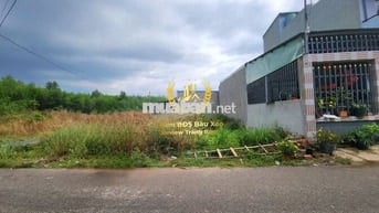 116m2 đất mặt đường nhựa sát vách KCN Bàu Xéo 2 và Tổng kho 620ha