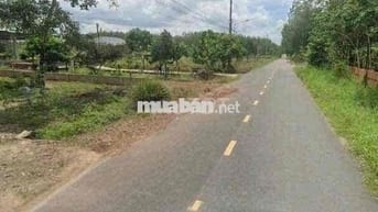Đất thuộc Hồ Chí Minh vung ven giá rẻ diện tích ngang rộng thổ cư sẵn
