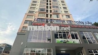 Bán gấp căn CT5B Mễ Trì Thượng. DT110m gồm 3pn, 2wc. Giá siêu tốt