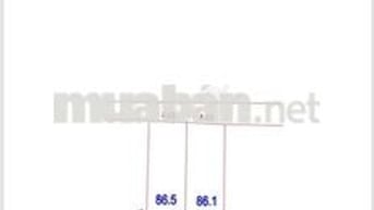 SIÊU PHẨM F0 CHỢ VĨNH LỘC THƯ PHÚ, CHƯƠNG DƯƠNG.