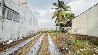 ĐẤT MẶT TIỀN – ĐỨC HOÀ – DT: 343m2 ( 11 X 34 ) - ĐẤT Ở - SỔ HỒNG VUÔNG