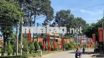 Bán đất thổ cư MT DH504 thích hợp kinh doanh, 570tr/ 147,7m2, SHR