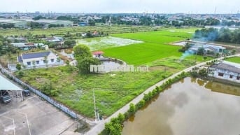 Đất Trung Tâm Bến Lức – Sổ Riêng, Đường Nhựa Ô Tô – Giá Chỉ 2.3 Tỷ