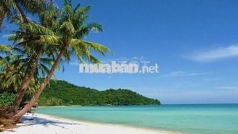Bán đất Bãi sao, Hai mặt tiền Giá đầu tư