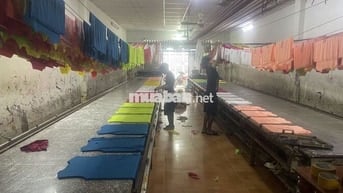 Nhà Hẻm Ô Tô Đường Số 9 BTan, 102m2, Tiện Xây Mới, Làm Kho, 5.5 Tỷ TL