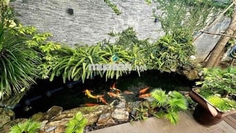 🔴 (NCC) CHO THUÊ NHÀ SÂN VƯỜN 2 TẦNG 200M2 - GẦN TRƯƠNG QUANG ĐƯỢC, KH