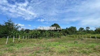 Đất ngộp giá rẻ thổ cư ven suối sát SB Long Thành chỉ 17km