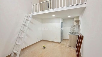 CHO THUÊ DUPLEX MỚI 100% , GÁC CAO 2M Ở DƯƠNG QUẢNG HÀM ,GV