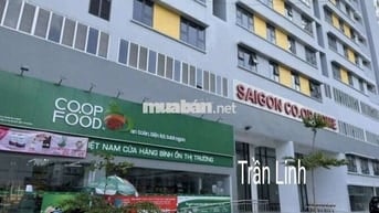 Bán CĂN GÓC chung cư Sài Gòn Coop, có sổ mới trục Nguyễn Oanh Gò Vấp^^