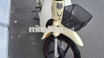 xe cúp 50cc