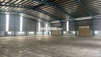 Cho thuê kho xưởng 3.500m² kế bên KCN Tân Tạo, Bình Tân, PCCC tự động